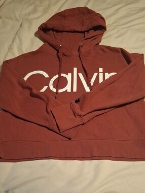 Calvin Klein Cropped Logo Hoodie